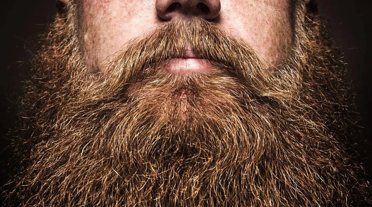 How to Maintain a Full Beard - Ufree